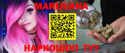 индика Лесосибирск