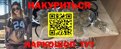 индика Лесосибирск