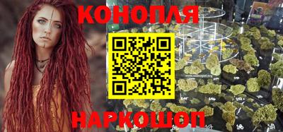 индика Лесосибирск