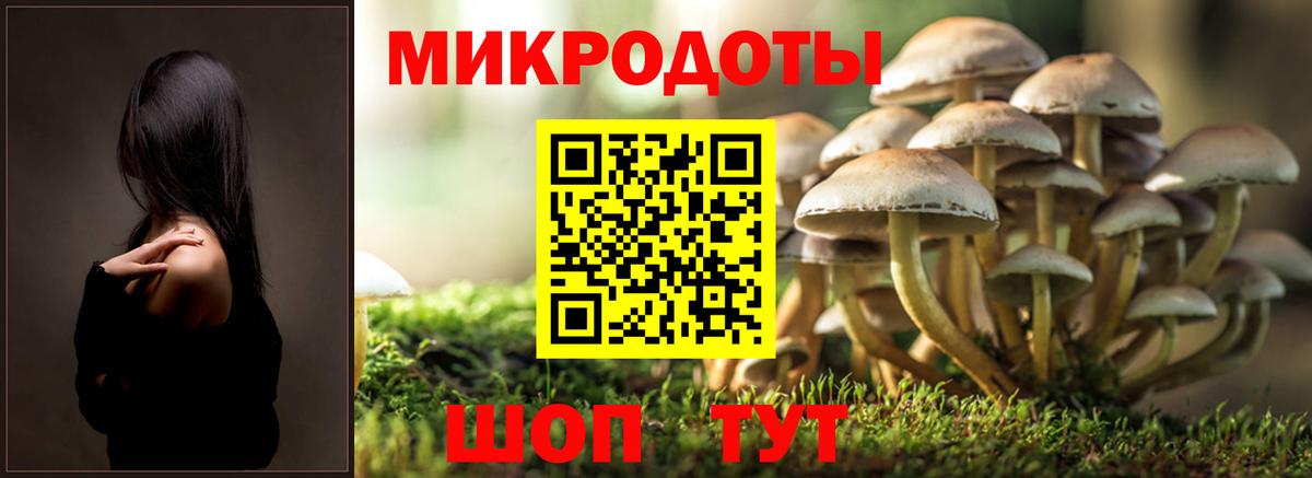 Вышний Волочёк  Псилоцибиновые грибы Magic Shrooms  Галлюциногенные грибы Magic Shrooms  Вход с VPN 