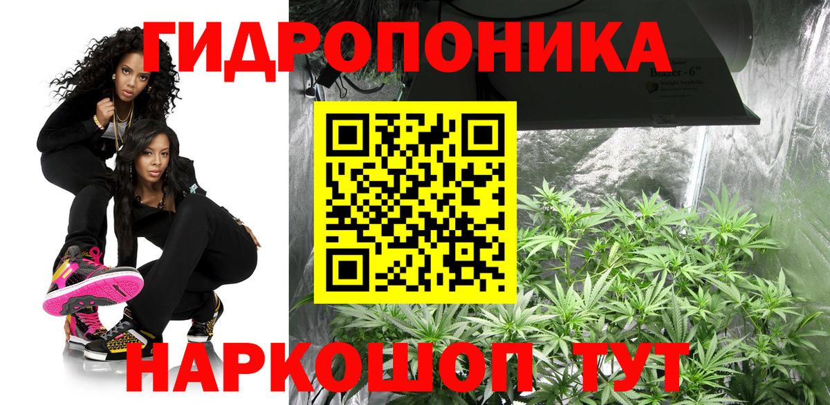 Канабис OG Kush  Каннабис план  Вышний Волочёк  Марихуана MAZAR  Вход с VPN 